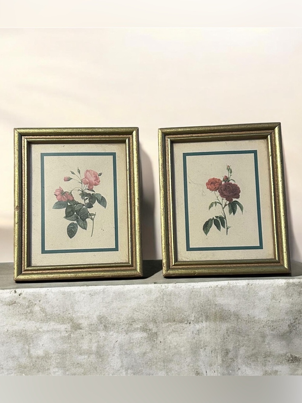 Floral Botanical Print Wall Art Pair in Gold Frames - Pink and Red Roses
